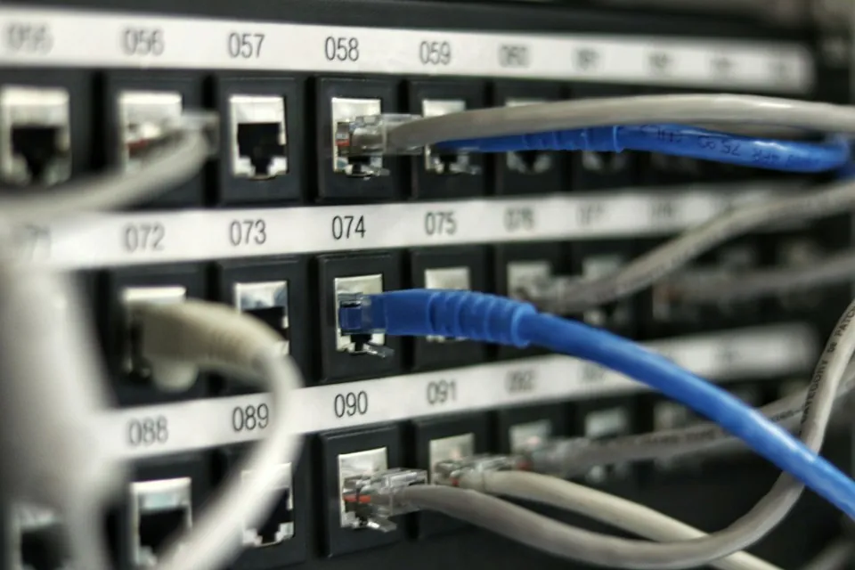 Ethernet cables connected to network patch-panel ports